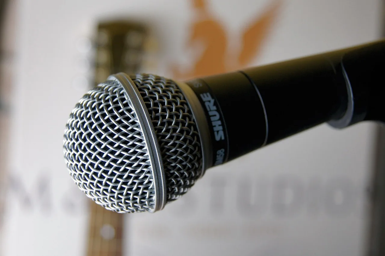 microphone, shure, singing, music, to sing, audio, »shure brothers« microphone, photography, sound waves, volume, microphone, shure, shure, shure, shure, shure, singing, sound waves. How editors cut true-crime and news shows under US defamation rules